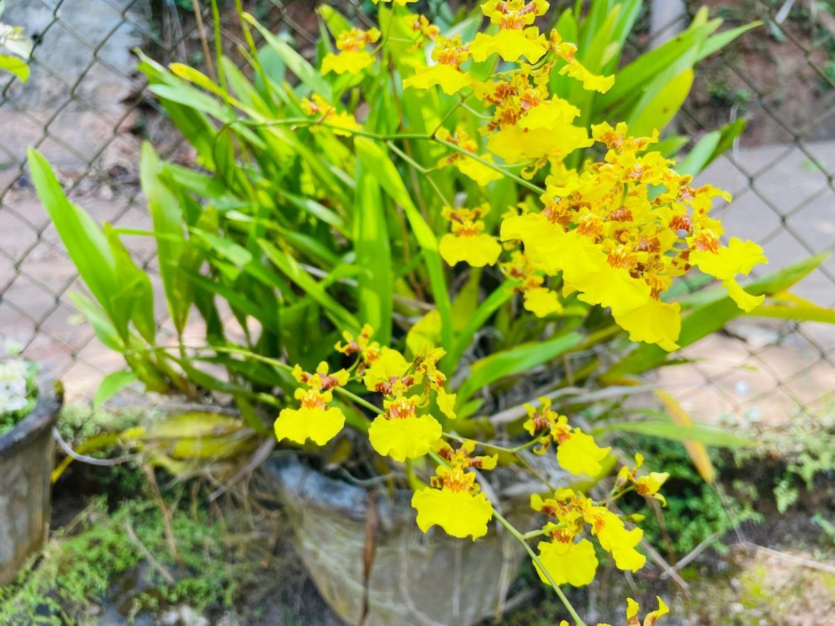 Unique Villa Kandy Esterno foto